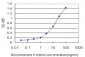 NNT Antibody (monoclonal) (M01)